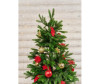  National Tree Company    190  - National Tree Company    190 