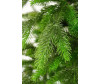  National Tree Company    190  - National Tree Company    190 