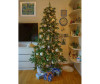  National Tree Company    190  - National Tree Company    190 