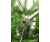 National Tree Company    190  - National Tree Company    190 