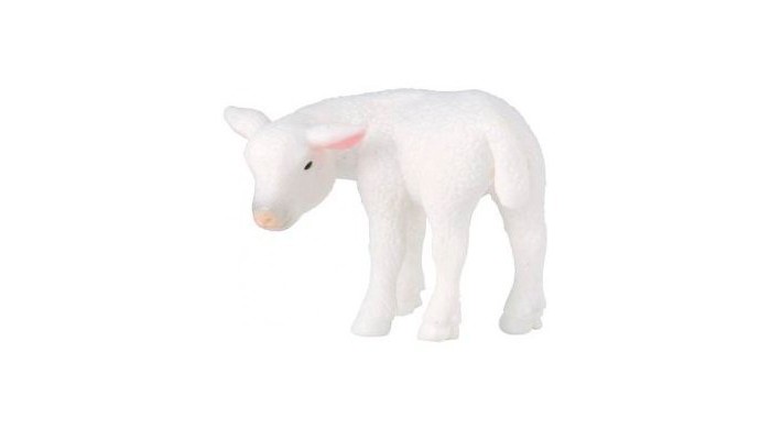  Collecta   5 