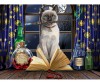  Prime 3D   - (500 ) - Prime 3D   -