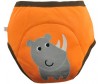  Zoocchini     3 . - Zoocchini     3 . 2-3 