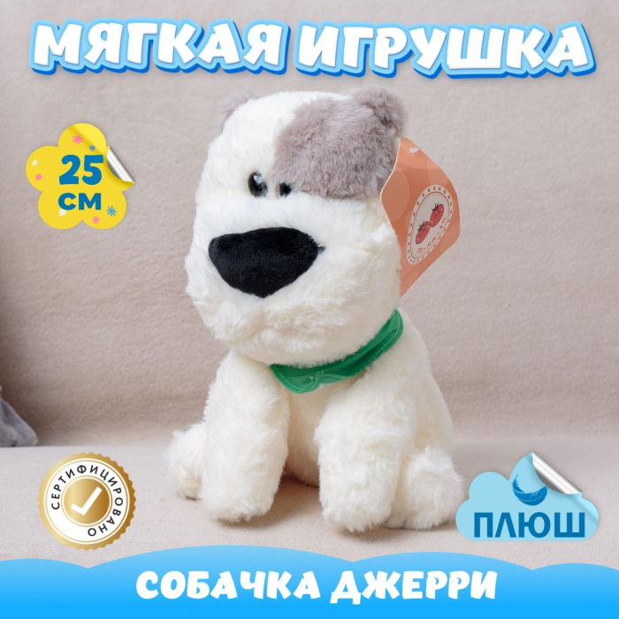   KiDWoW   325037029