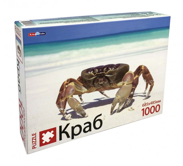     (1000 )