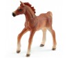  Schleich      - Schleich     