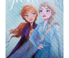  Disney   1.5    210145  - 4857991_1-1675073053