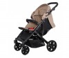   Coletto Amico () - Coletto Amico ()