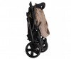   Coletto Amico () - Coletto Amico ()
