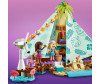  Lego Friends 41700      - Lego Friends 41700     