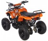  Motax    ATV Mini Grizlik -16 Big Wheel     - Motax    ATV Mini Grizlik -16