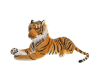   KiDWoW   325037780 - DW106001403-O__1_.JPG-1670352629