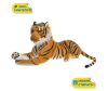   KiDWoW   325037780 - INF_DW104501402LYE_1-1698783361