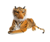   KiDWoW   325037780 - DW106001403-O__2_.JPG-1698782884