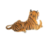   KiDWoW   325037780 - DW106001403-O__3_.JPG-1698783171