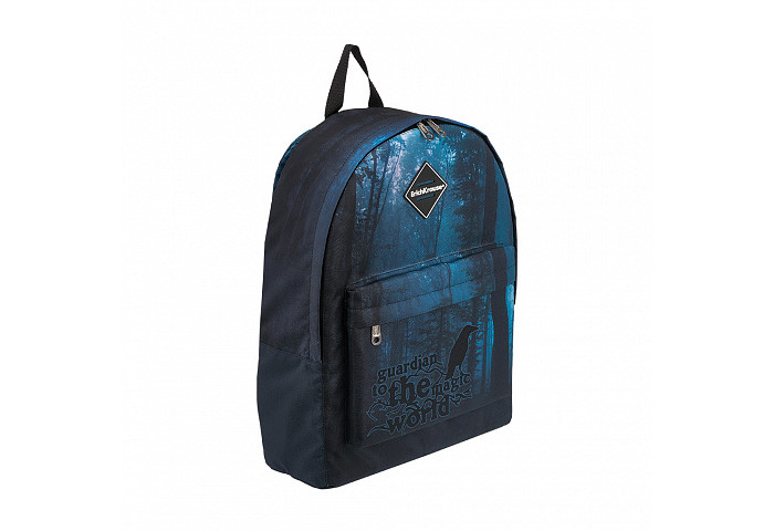  ErichKrause  EasyLine Dark Forest 17 