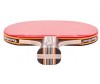  Ping-Pong      Primo - Ping-Pong      Primo