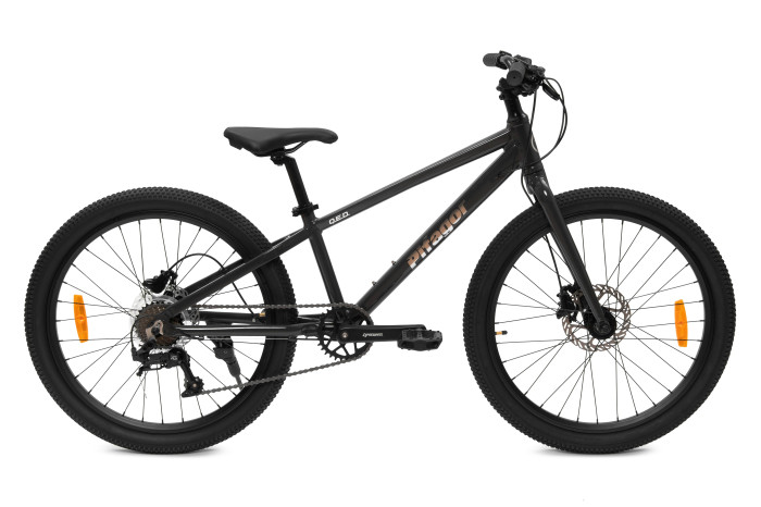   Pifagor Q.E.D. 24"