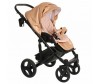  Pituso Prestigio   2  1  - Pituso Prestigio   2  1 