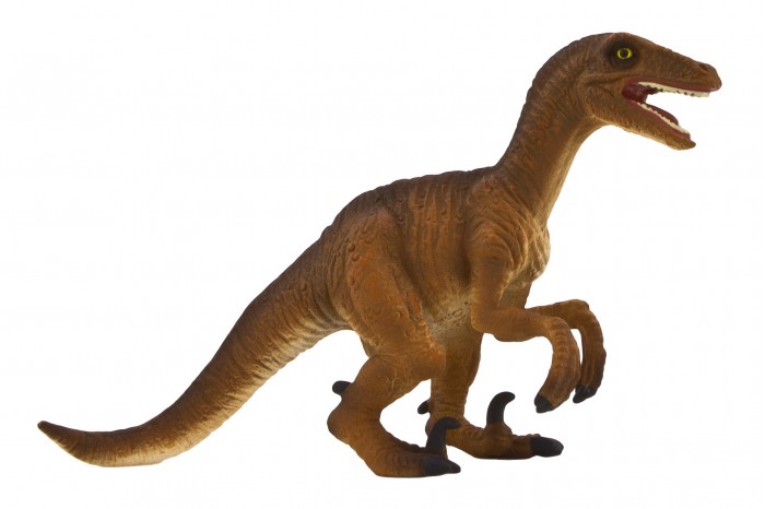  Mojo Animal Planet  M