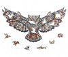     olor owl 5 -    olor owl 2 5