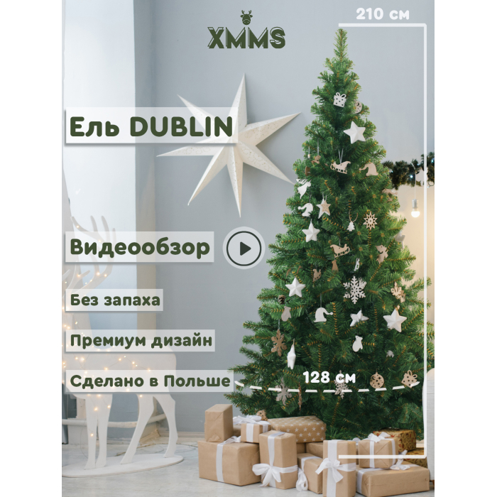  XMMS   Dublin 210 