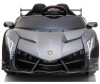  Veld CO Lamborghini Veneno 12V10 - Veld CO Lamborghini Veneno 12V10