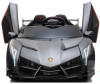  Veld CO Lamborghini Veneno 12V10 - Veld CO Lamborghini Veneno 12V10