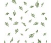  Bebe au Lait Bamboo Muslin Saguaro Blend - Bebe au Lait Bamboo Muslin Saguaro Blend