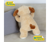   KiDWoW   389141204 - INF_JX605019322K_1-1698793911