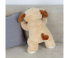   KiDWoW   389141204 - JX605019322K__2__1_.JPG-1698794557