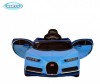  Barty Bugatti Chiron HL318 - Barty Bugatti Chiron HL318