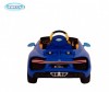  Barty Bugatti Chiron HL318 - Barty Bugatti Chiron HL318