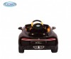  Barty Bugatti Chiron HL318 - Barty Bugatti Chiron HL318