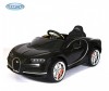  Barty Bugatti Chiron HL318 - Barty Bugatti Chiron HL318