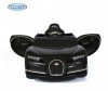  Barty Bugatti Chiron HL318 - Barty Bugatti Chiron HL318