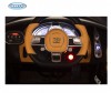  Barty Bugatti Chiron HL318 - Barty Bugatti Chiron HL318