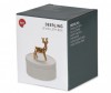  Balvi    Deerling - Balvi    Deerling