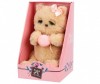   Angel Collection     - Angel Collection    