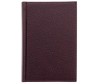  Brauberg   Favorite    5 160  - Brauberg   Favorite    5 160 