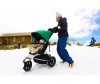  Mountain Buggy     Winter Ski - Mountain Buggy     Mountain Buggy Winter Ski