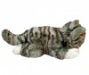   Keel Toys  Signature 35  - Keel Toys Signature   35 