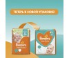  Pampers  Sleep & Play Midi .3 (6-10 ) 100 . - Pampers  Sleep & Play Midi .3 (6-10 ) 100 .