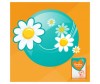  Pampers  Sleep & Play Midi .3 (6-10 ) 100 . - Pampers  Sleep & Play Midi .3 (4-9 ) 100 .