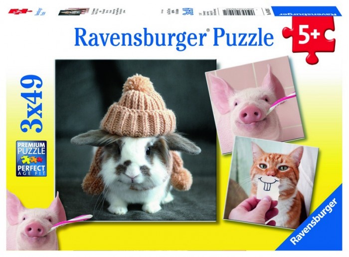  Ravensburger    349 