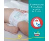  Pampers - Pants .3 (6-11 ) 32 . - Pampers  Pampers Pants .3 (6-11 ) 32 .