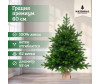  National Tree Company   3D   60  - National Tree Company   3D   60 