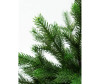  National Tree Company   3D   60  - National Tree Company   3D   60 