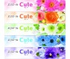  Elleair     Cute 5 x 160 . - Elleair     Cute 5 x 160 .