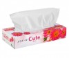  Elleair     Cute 5 x 160 . - Elleair     Cute 5 x 160 .